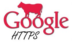 Google Announce HTTPS Is Now A Ranking Factor
