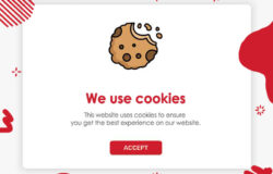 What Are Web Cookies and Why Are They Important For Your Website? Red Cow Media